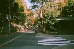 Tokyo_disposable9