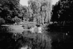 OsloPark
