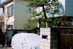 Tokyo, 2016-2019