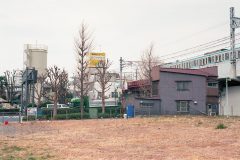 Nakano_trees
