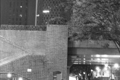 Yuzo_shinjuku